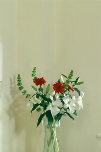 a lady getting an orgasm while fucking a man on the couch